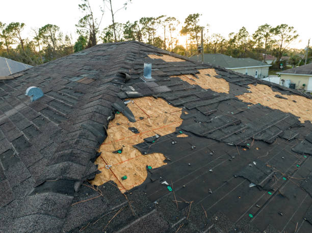 Best Roof Installation  in Auburn, KS